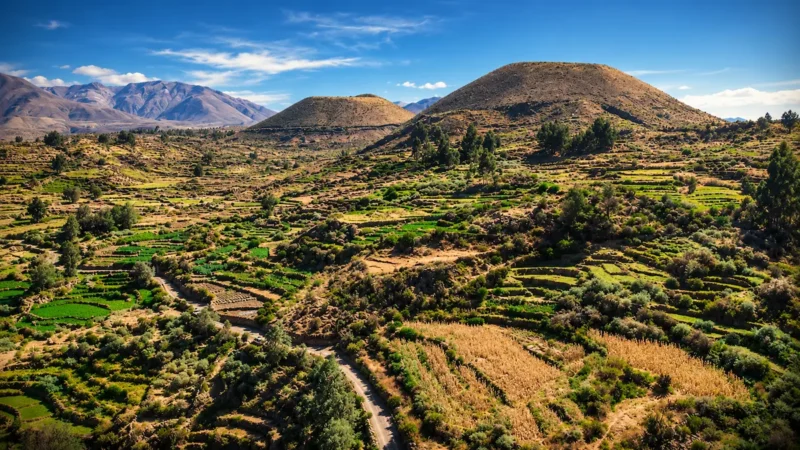 Tour Valle de los Volcanes - Andagua