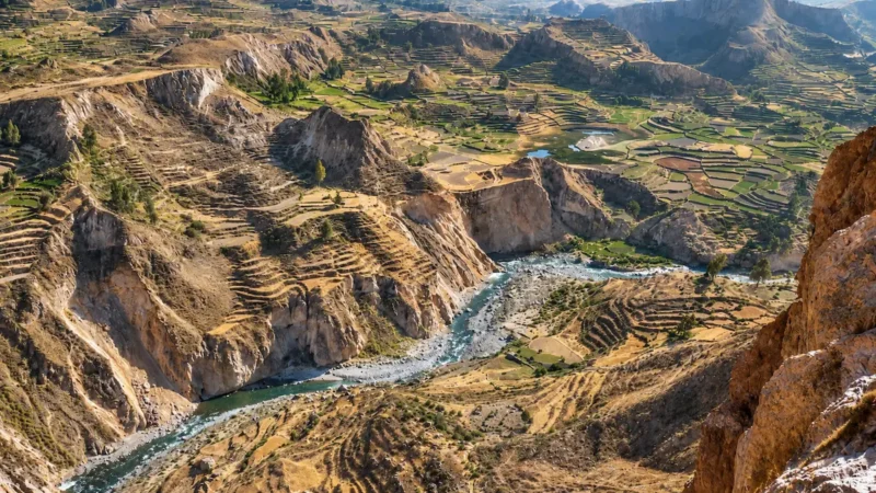 Trekking Cañón del Colca 2 Días / 1 Noche